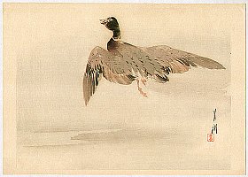 Kacho-e by Koson Ohara