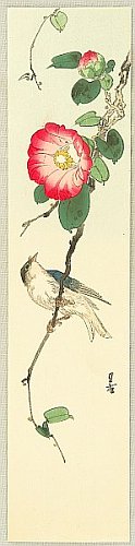 Woodblock Prints