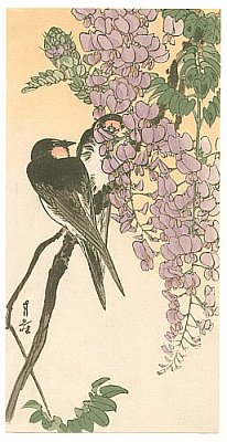 Robert O. Muller Collection