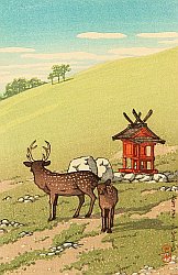 Kawase Hasui