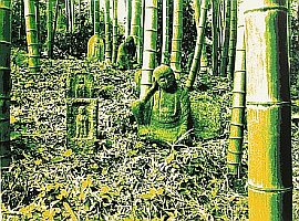 Hideaki Kato