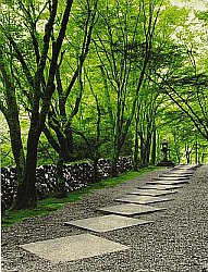 Hideaki Kato