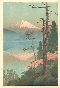 Views of Mount Fuji