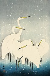 Koson Ohara - Biography