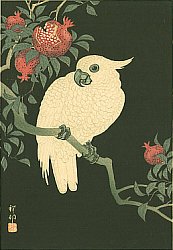 Ito Sozan - Biography