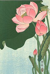 Gesso Yoshimoto - Essay