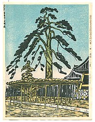 Views of Mount Fuji
