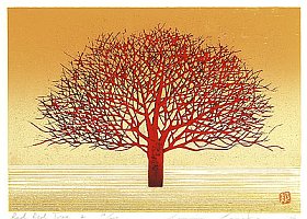 Tatsuo Kawashima - Biography