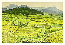 Lu Changqing