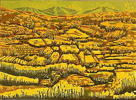 Lu Changqing