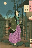 The Gion district