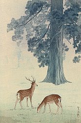 Shiro Kasamatsu - Biography