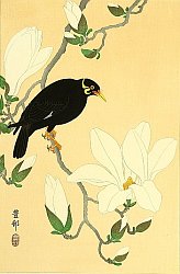 Koson Ohara - Biography