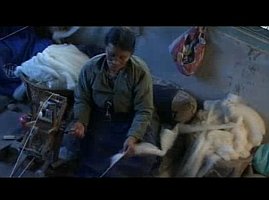 Go to Video: Rugs from Nepal