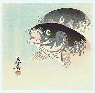 By Shibata Zeshin - Carp