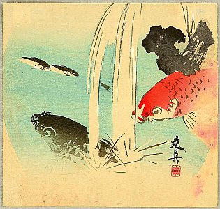 By Shibata Zeshin - Carp