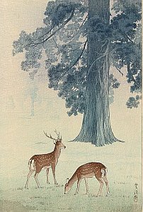 Shiro Kasamatsu - Biography