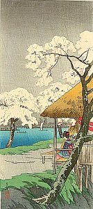 Rain at Sumida River
