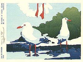 36 Views of Green Island