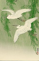 Kacho-e by Koson Ohara