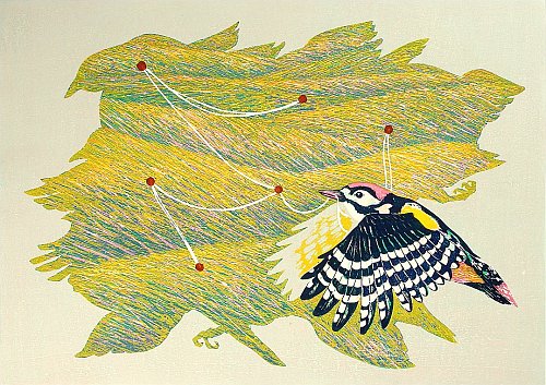 Kazuyuki Ohtsu - Biography