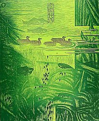 Wang Shimin