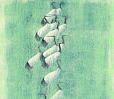 Wang Shimin