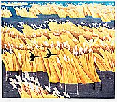 Xiao Qingjiang