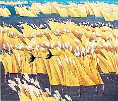Xiao Qingjiang