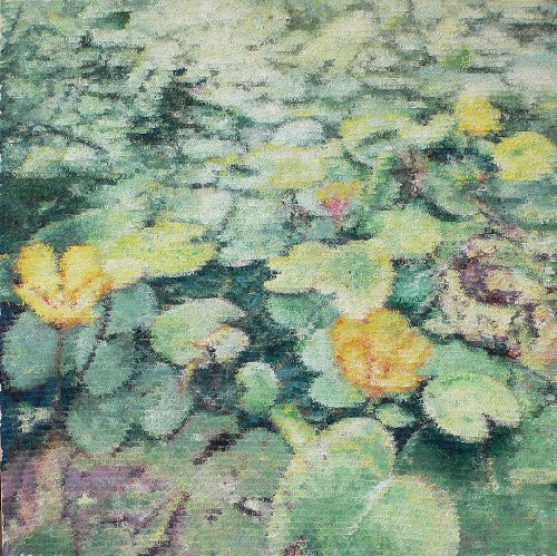 Lotus Color No. 16