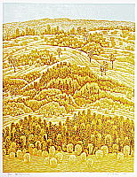 Yang Yuguang