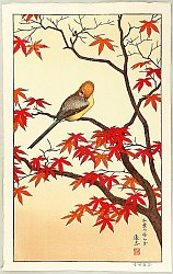Autumn - By Toshi Yoshida