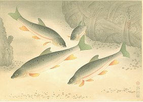 Japanische Grafiken - Info