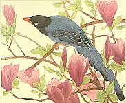 John James Audubon - 1785-1851