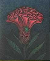 Catalog Akira Fujie born 1950 - artelino
