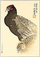 Catalog Beisen Kubota 1852-1906 - artelino