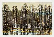 Du Hongnian - Du Hongnian 1928-1998
