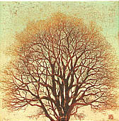Hajime Namiki - Hajime Namiki born 1947