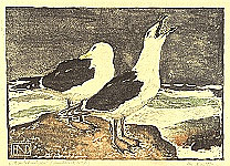 Henry Niestle - Henry Niestle 1876-1966
