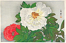Kazuma Oda - Kazuma Oda 1881-1956