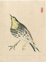 Keika Kanashima - Keika Kanashima 1892-1974