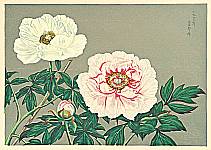 Kojiro Funazaki - Kojiro Funazaki 1900-1988