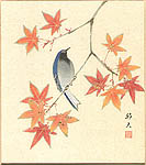 Kunio Katayama - Kunio Katayama born 1952