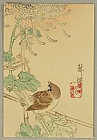 Ryusen Komai - Ryusen Komai fl.ca.1880-1900