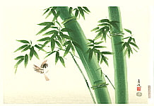 Seika Tatsumoto - Seika Tatsumoto born 1935