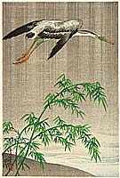 Seitei (Shotei) Watanabe - Seitei (Shotei) Watanabe 1851-1918