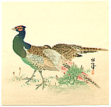 Suian Hirafuku - Suian Hirafuku 1844-1890