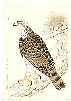 Suiko Fukuda - Suiko Fukuda 1895-1973
