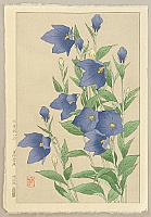 Yuichi Osuga - Yuichi Osuga 1939- Yuichi Osuga - Yuichi Osuga 1939-