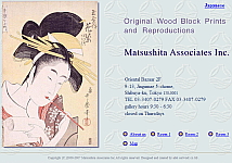 Matsushita Associates  Inc.